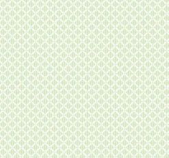 Coordonné Corset Mint -