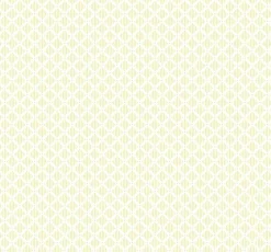 Coordonné Corset Vanilla -