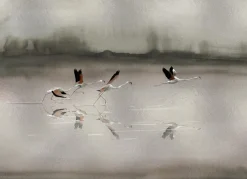 Coordonné Doñana Silver -