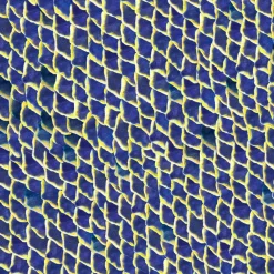 Coordonné Fish skin Blue -