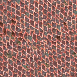 Coordonné Fish skin Red -