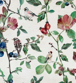 Coordonné Goldfinch Song Cotton -