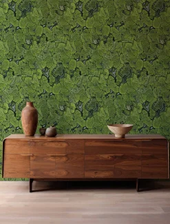 Coordonné Liquen Green -