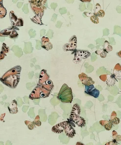 Coordonné Magic butterflies Maca -