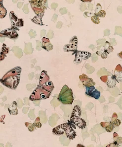 Coordonné Magic butterflies Sweet -