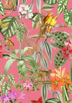 Coordonné Parrots Rosa -