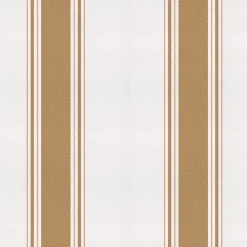 Coordonné Stripe 5 Curry -