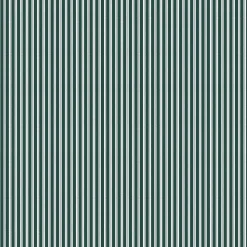 Coordonné Stripe 0,7 Parra -