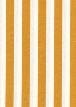 Coordonné Stripes Curry -