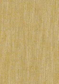 Coordonné Twill Curry -
