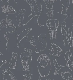 Coordonné Zoology Chalk -